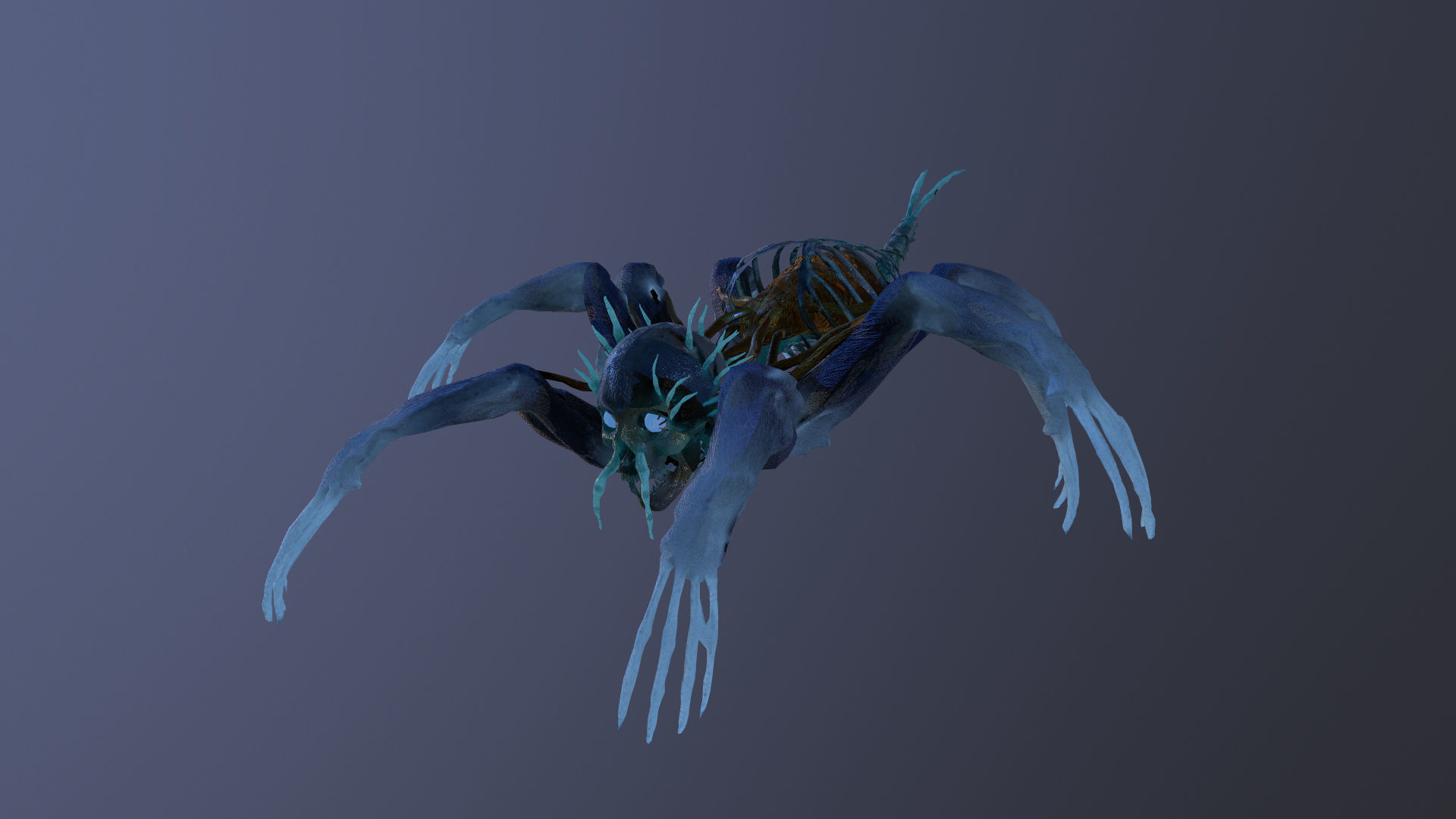 Monster Bone Spider Low-poly 3D model_17