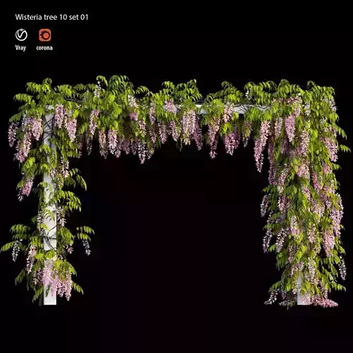 wisterial tree 10  set 01