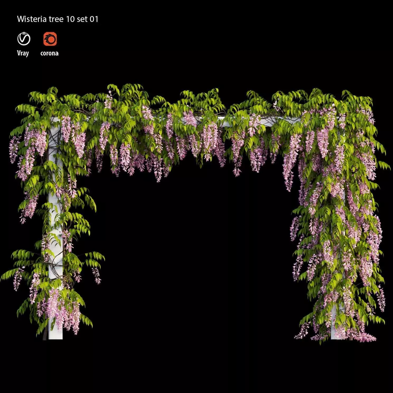 wisterial tree 10  set 01 3D model_0