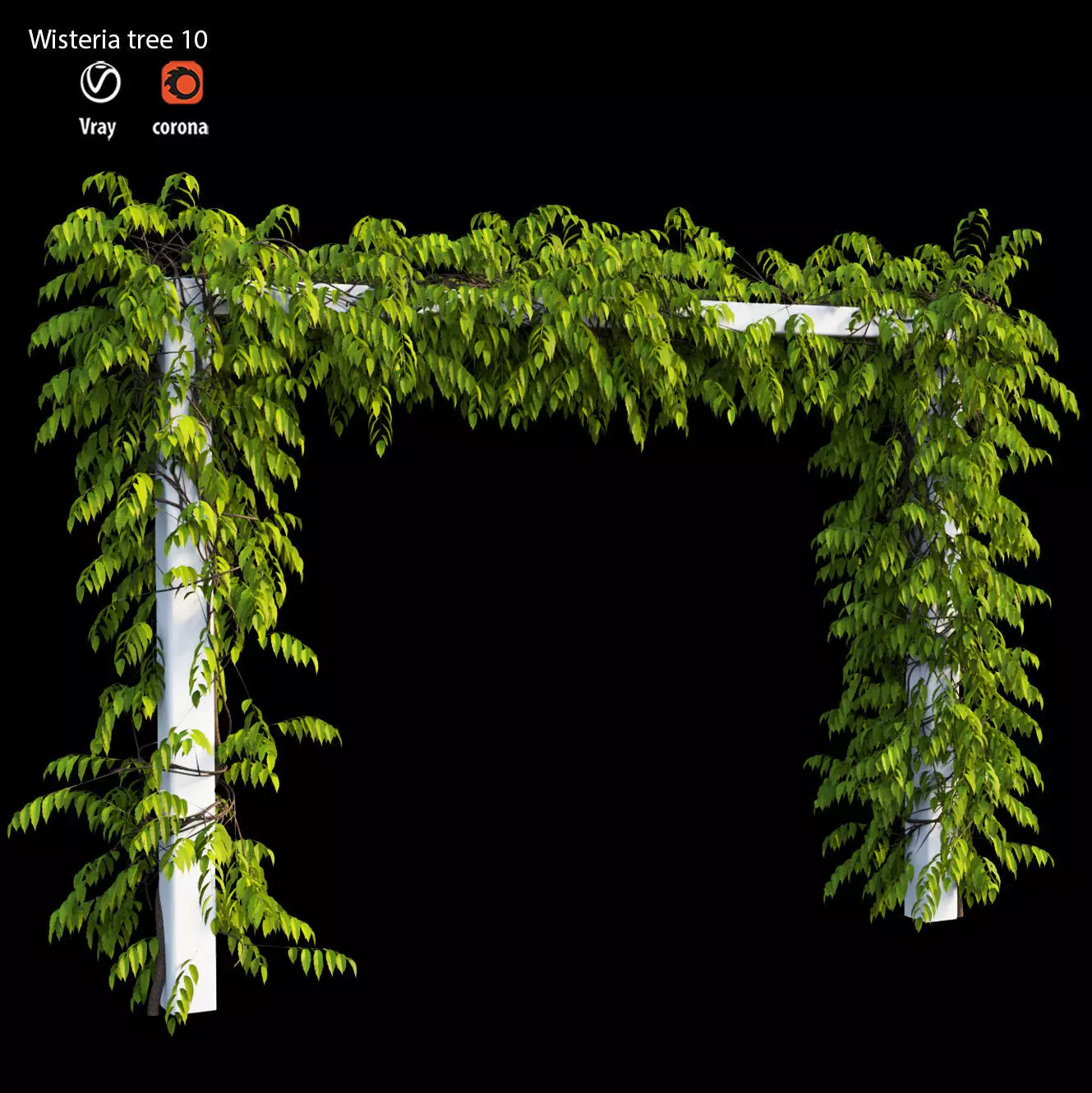 wisterial tree 10 set 03 3D model_0