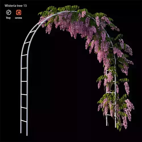 wisterial plant 13 set 01