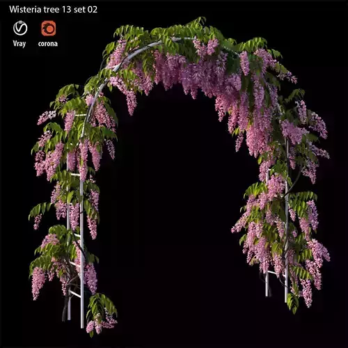 wisterial plant 13 set 02 