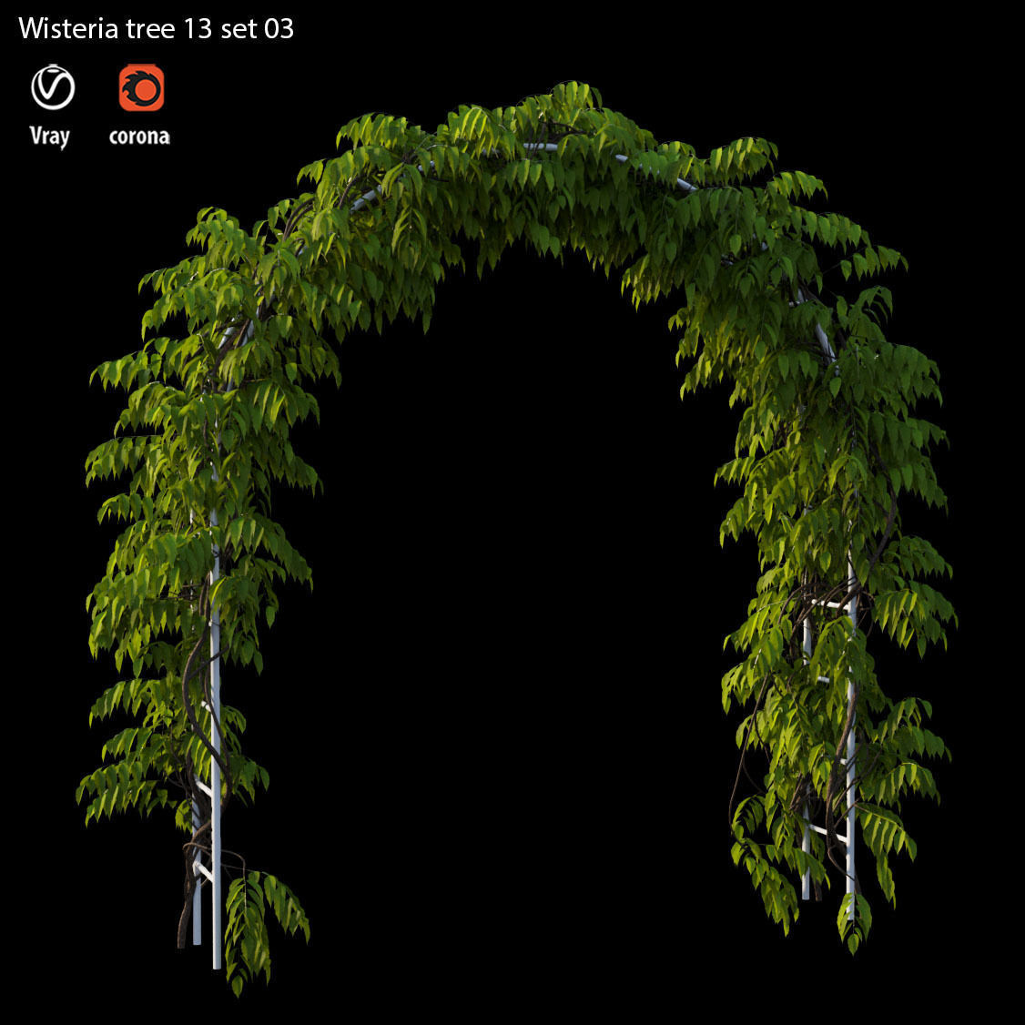 wisterial plant 13 set 03 3D model_1