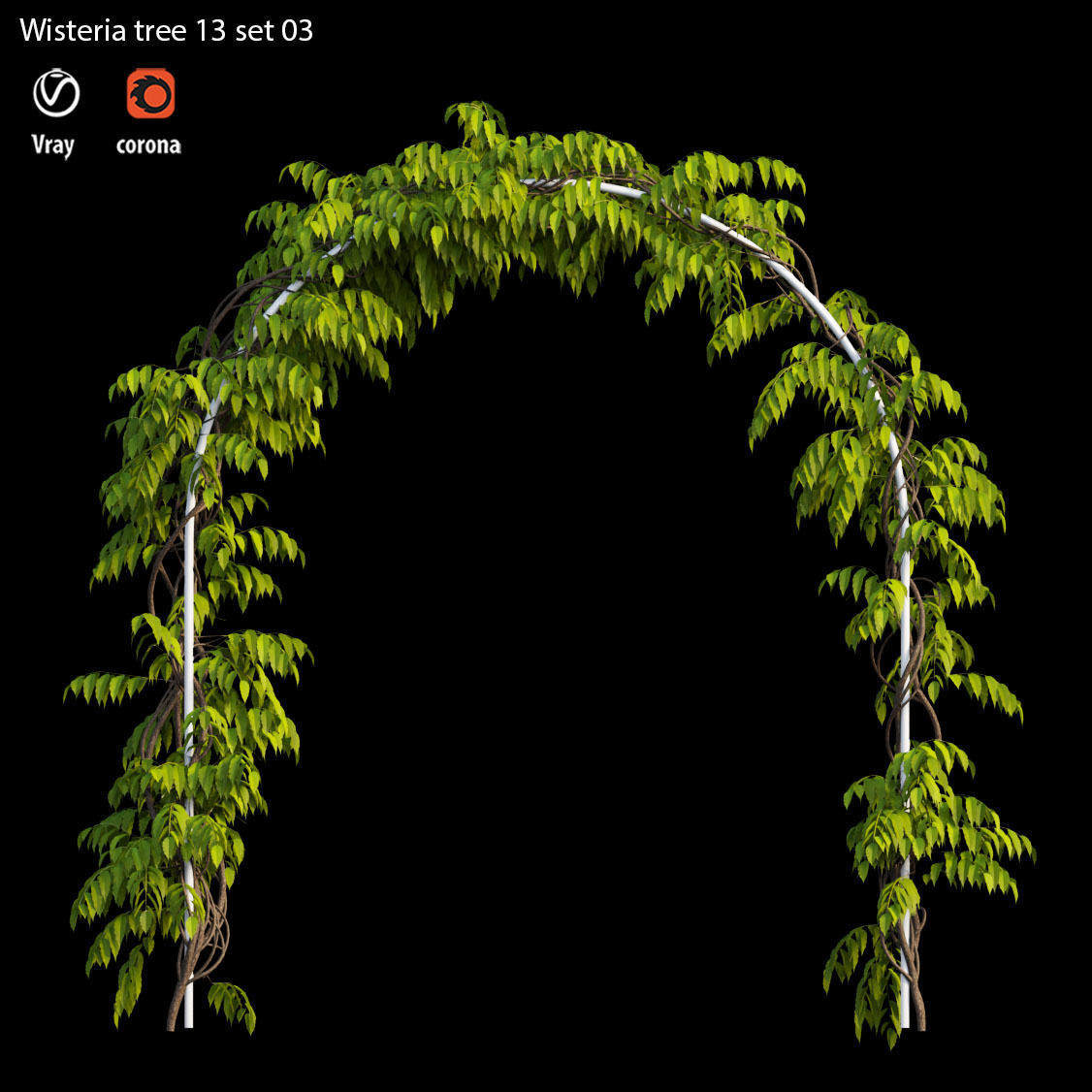 wisterial plant 13 set 03 3D model_2