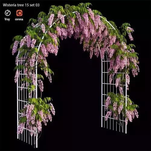 wisterial tree 15 set 03