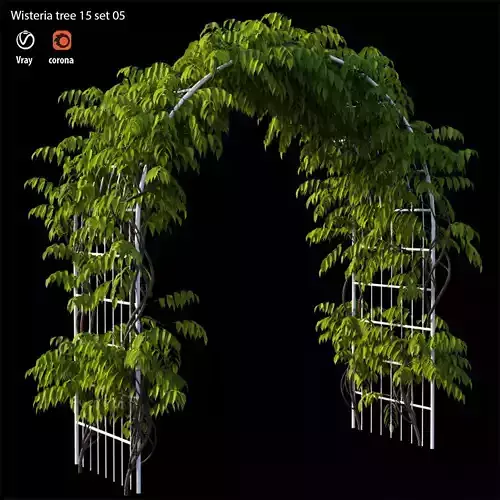 wisterial tree 15 set 05