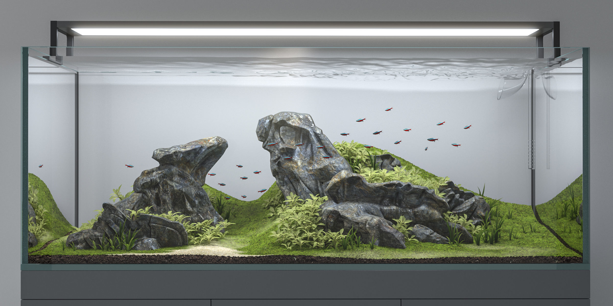 Aquascape aquarium 3D model_1