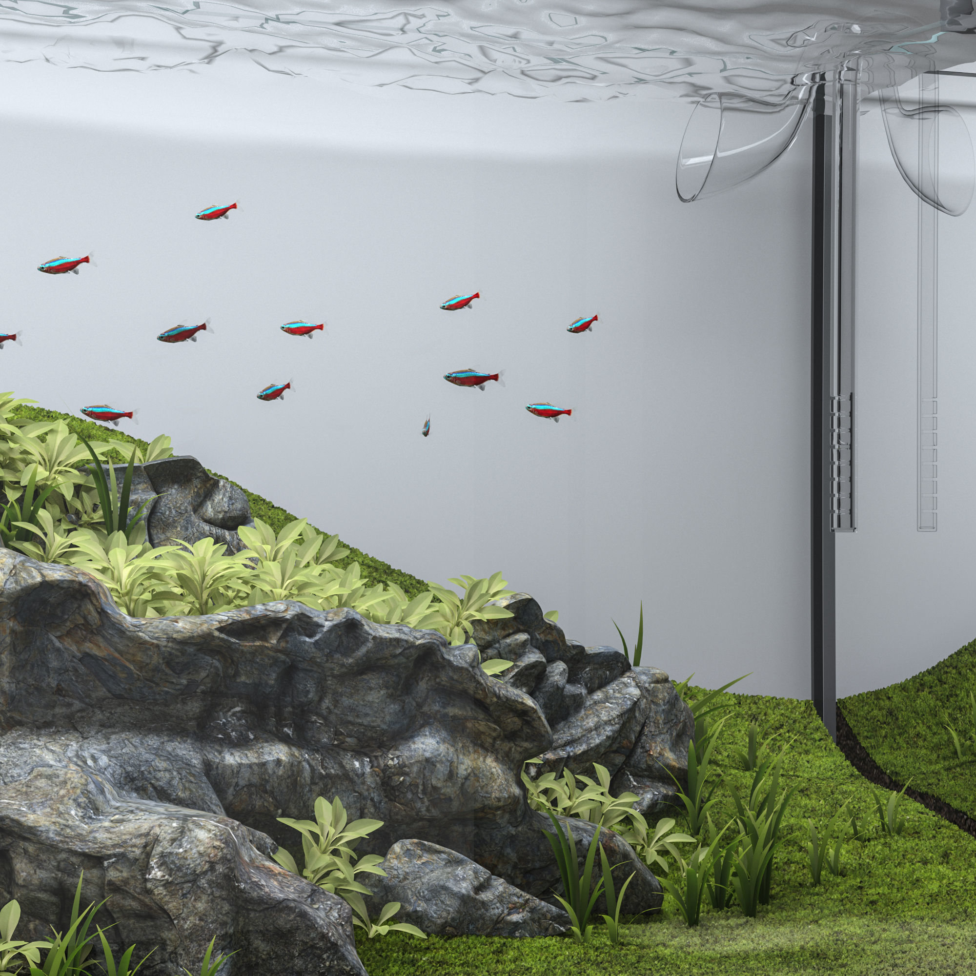 Aquascape aquarium 3D model_7