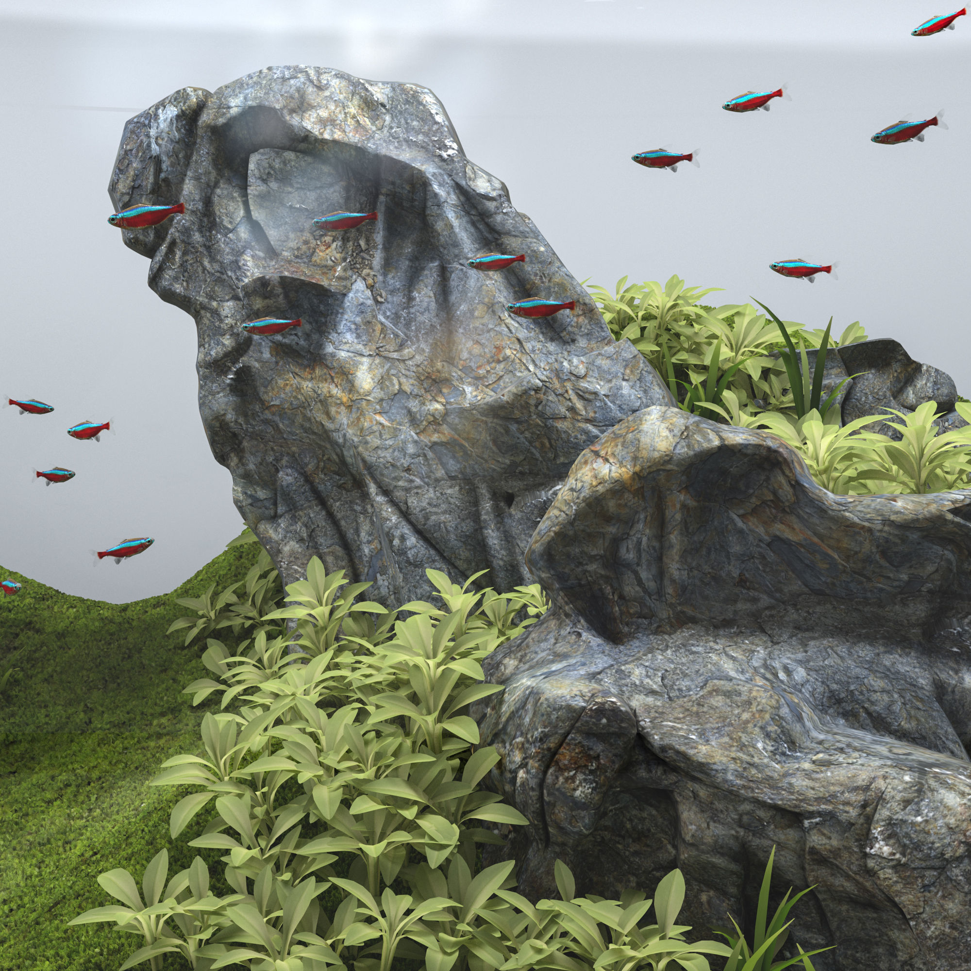 Aquascape aquarium 3D model_3