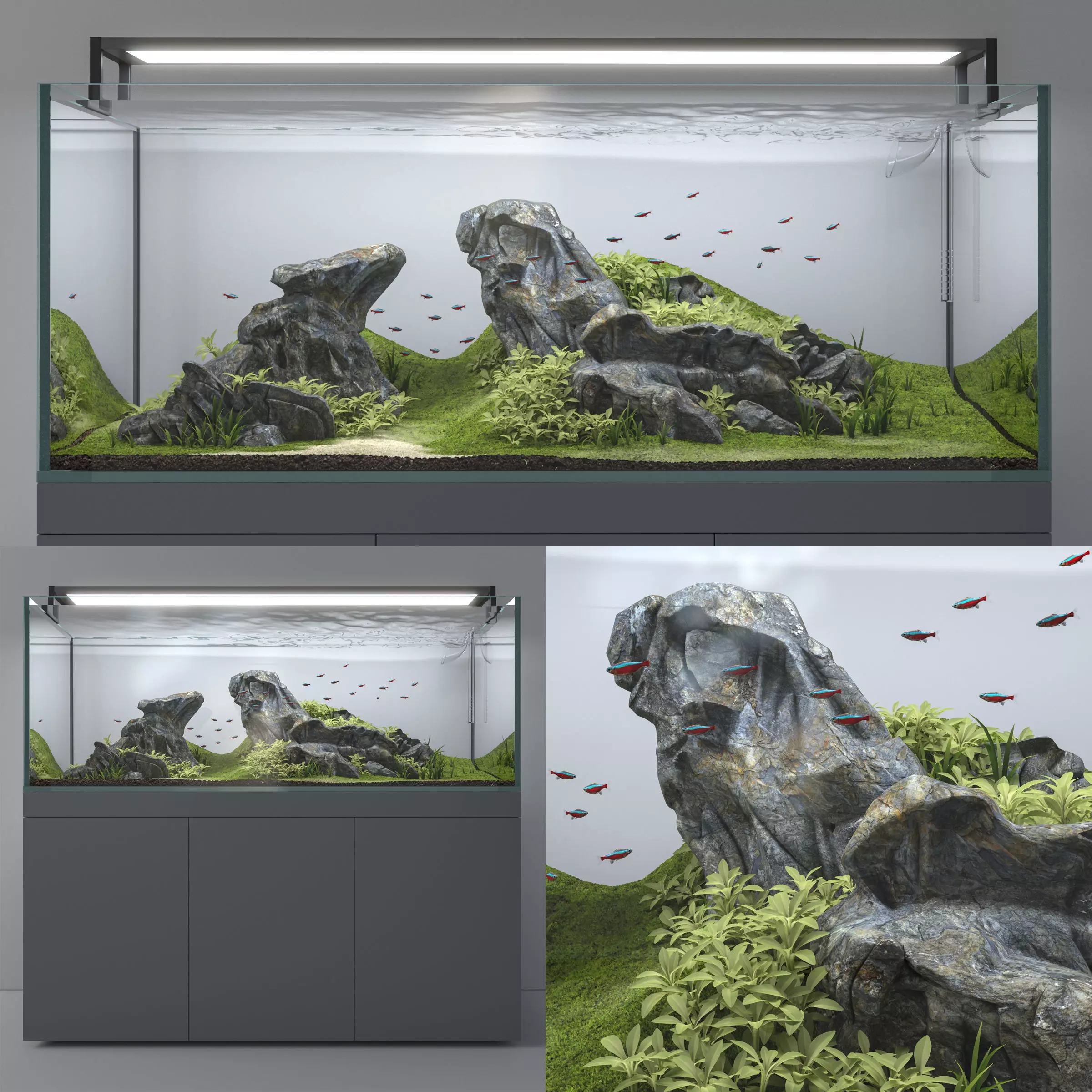 Aquascape aquarium 3D model_0