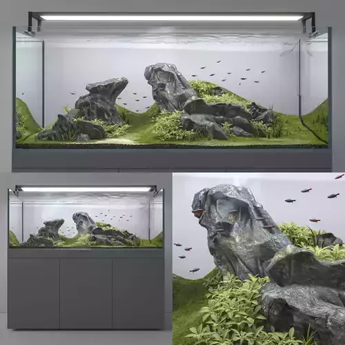 Aquascape aquarium 3D model