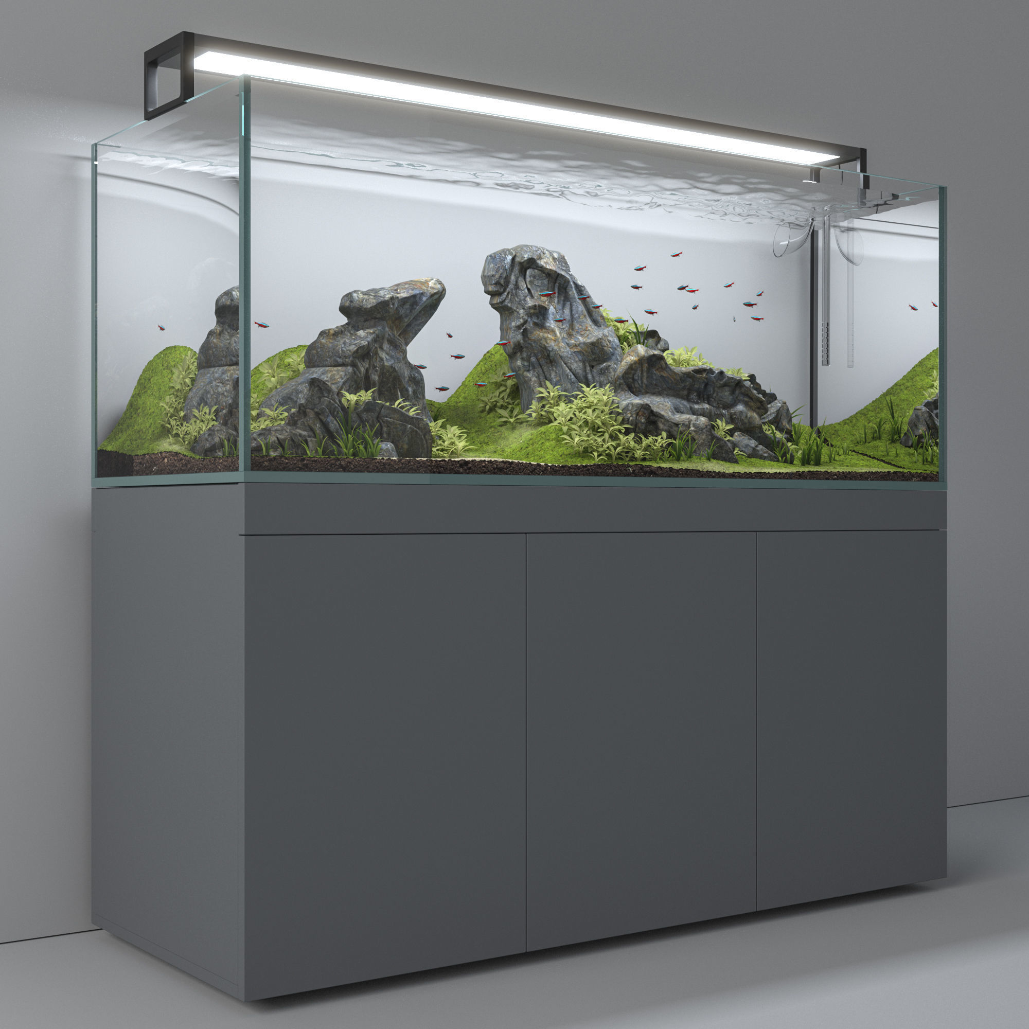 Aquascape aquarium 3D model_6