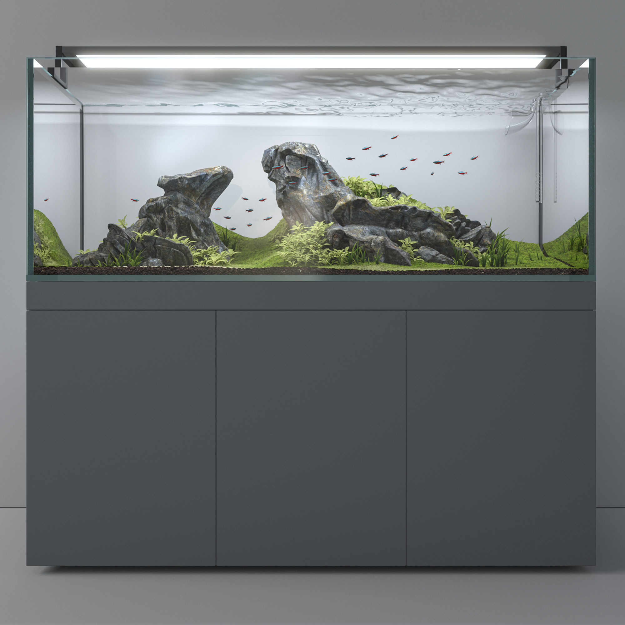 Aquascape aquarium 3D model_2