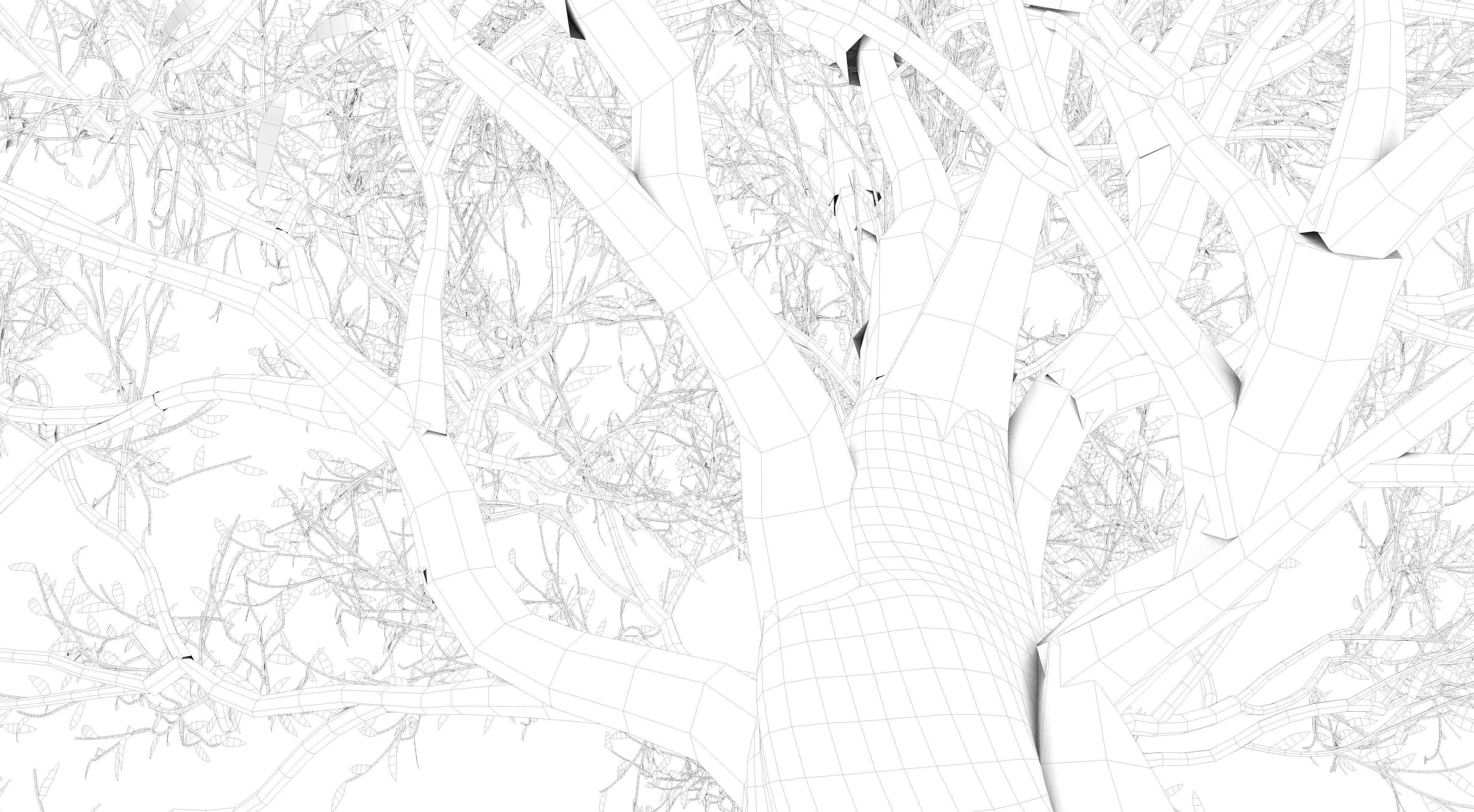 Olive Tree Low-poly 3D model_14