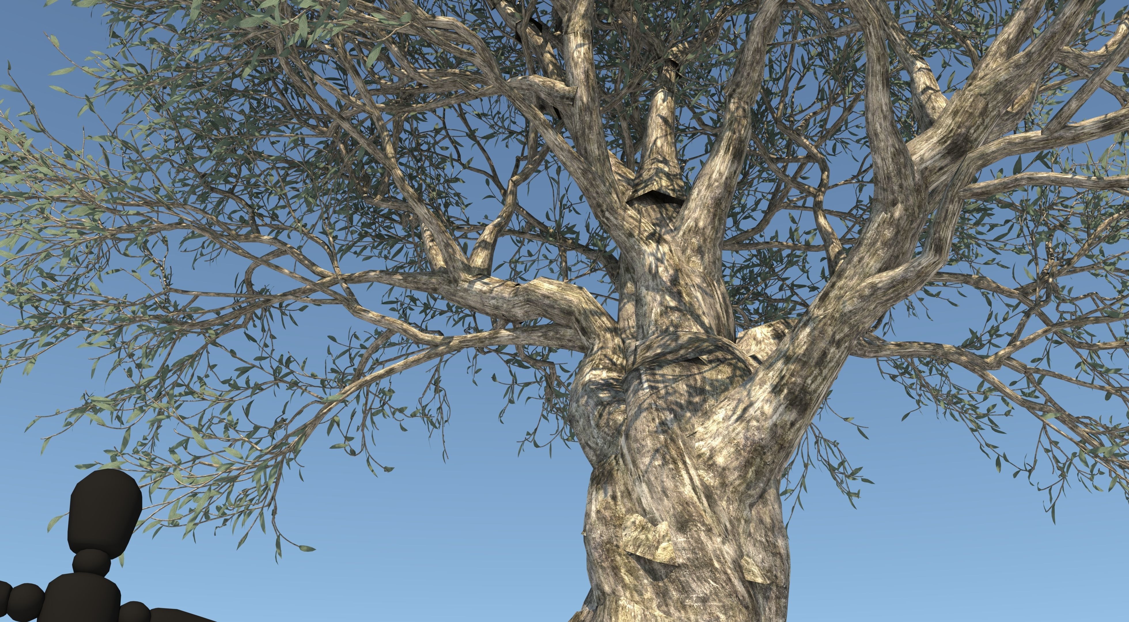 Olive Tree Low-poly 3D model_5