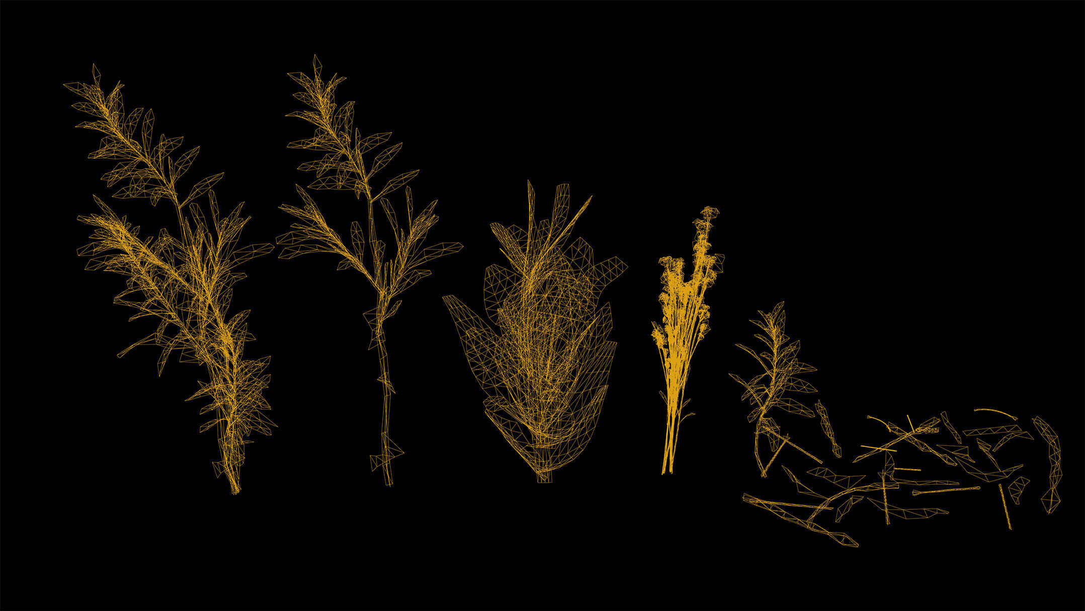 Herbs Game Ready plants Low-poly 3D model_4