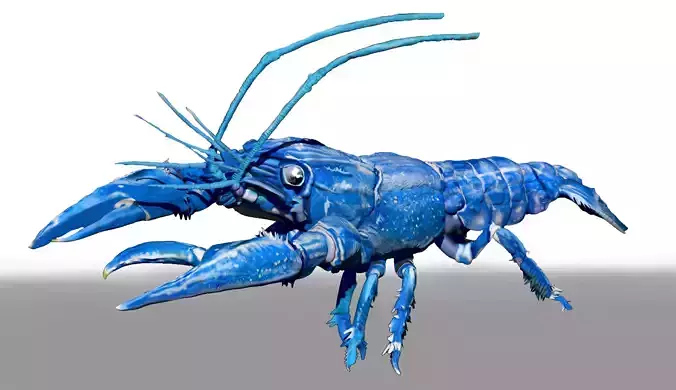 Blue Crawfish - ZTL Sculpt and Polypaint