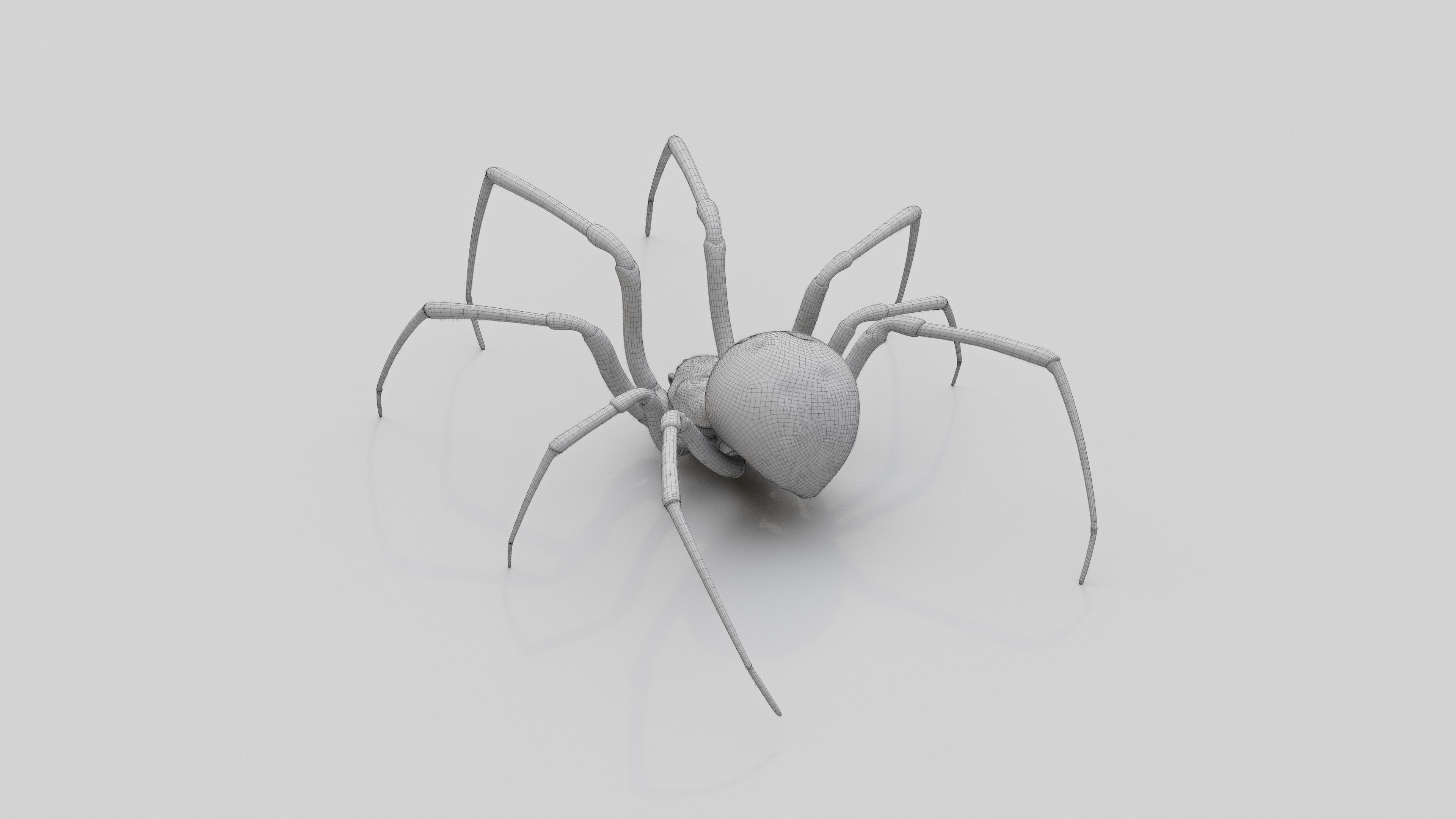 Black widow spider v2 update 3D model_13