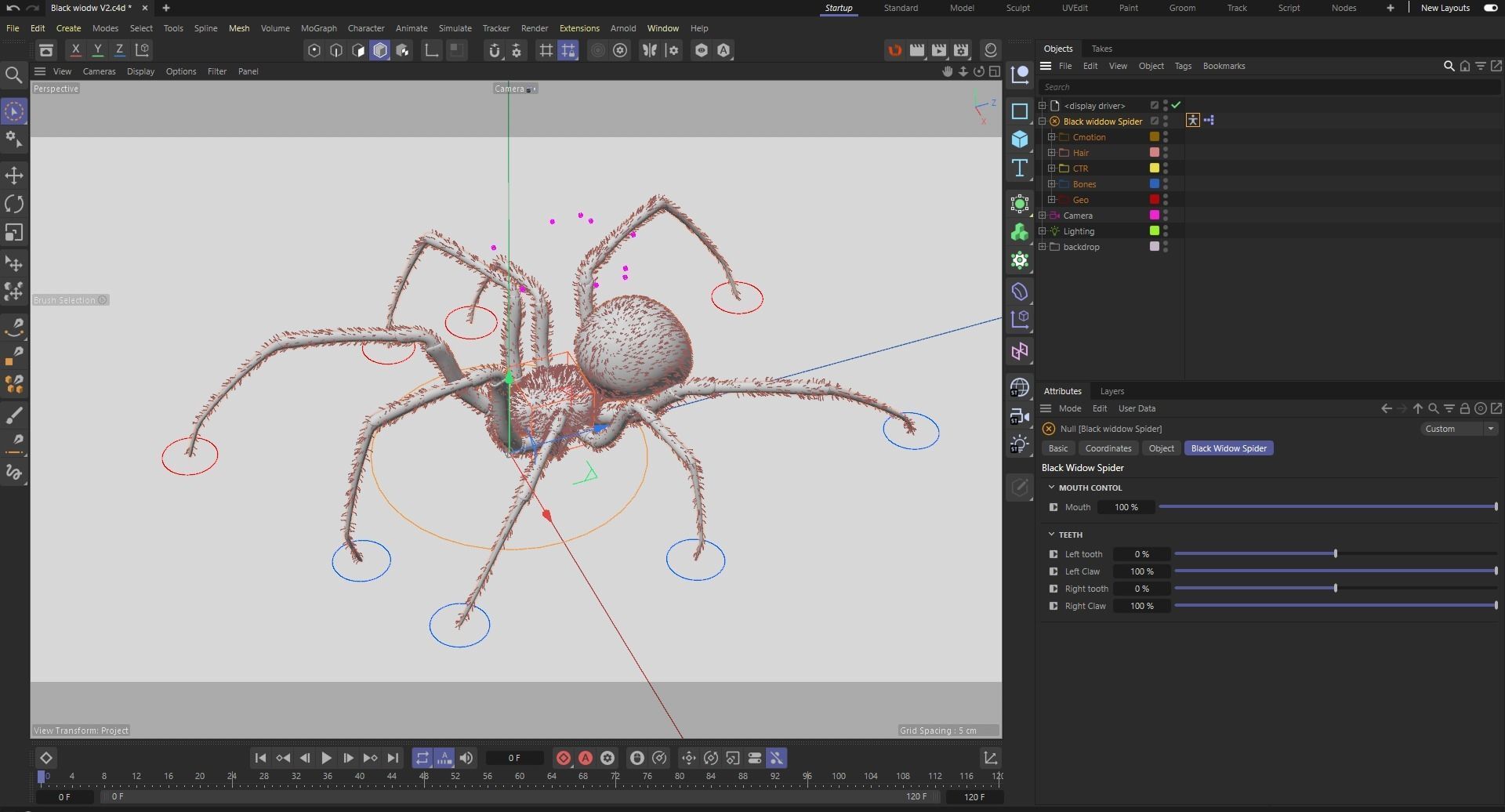 Black widow spider v2 update 3D model_14