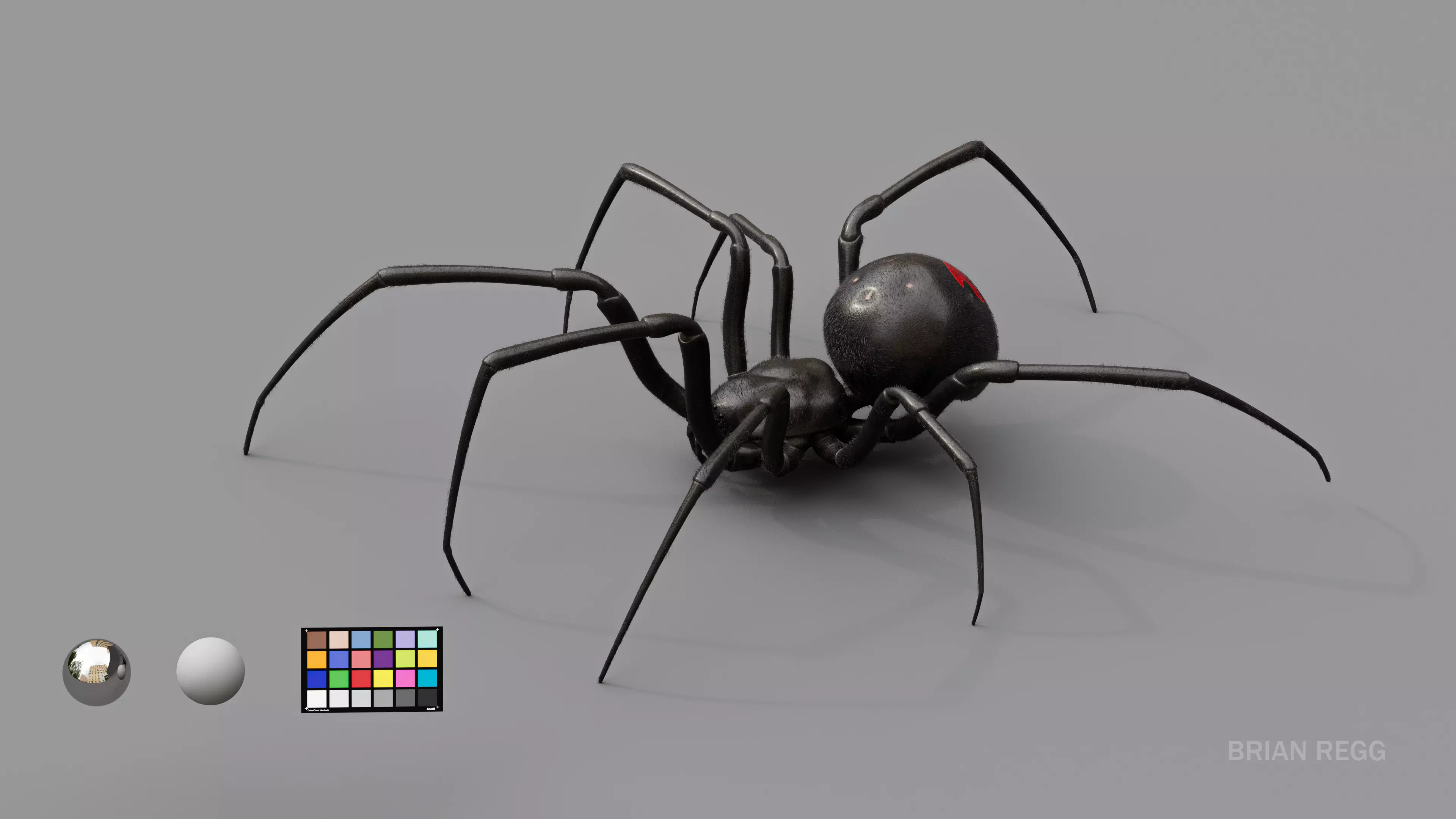 Black widow spider v2 update 3D model_0