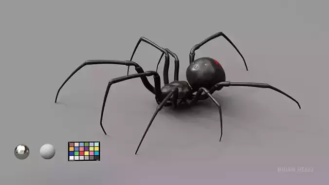 Black widow spider v2 update 3D model