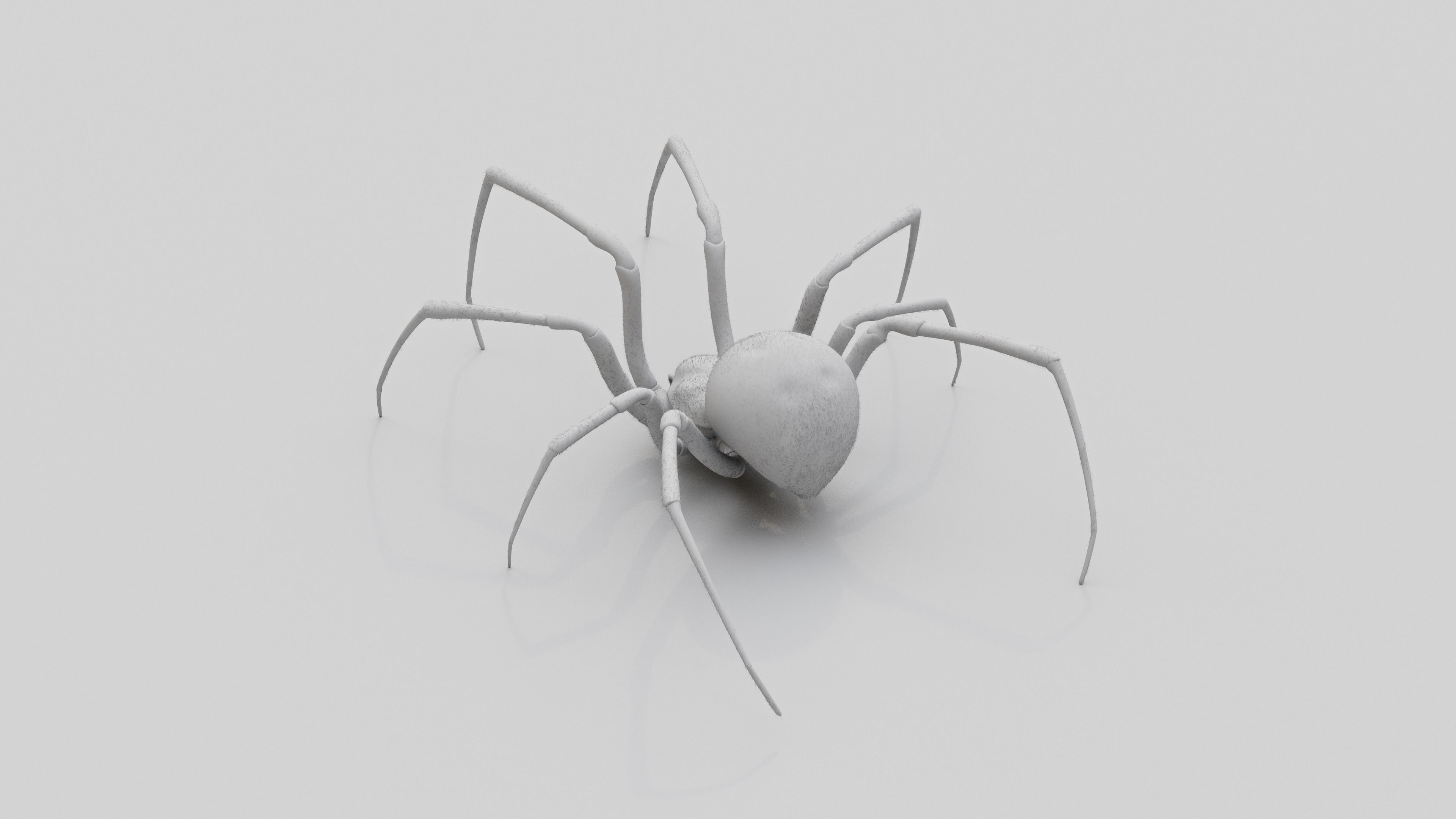 Black widow spider v2 update 3D model_9