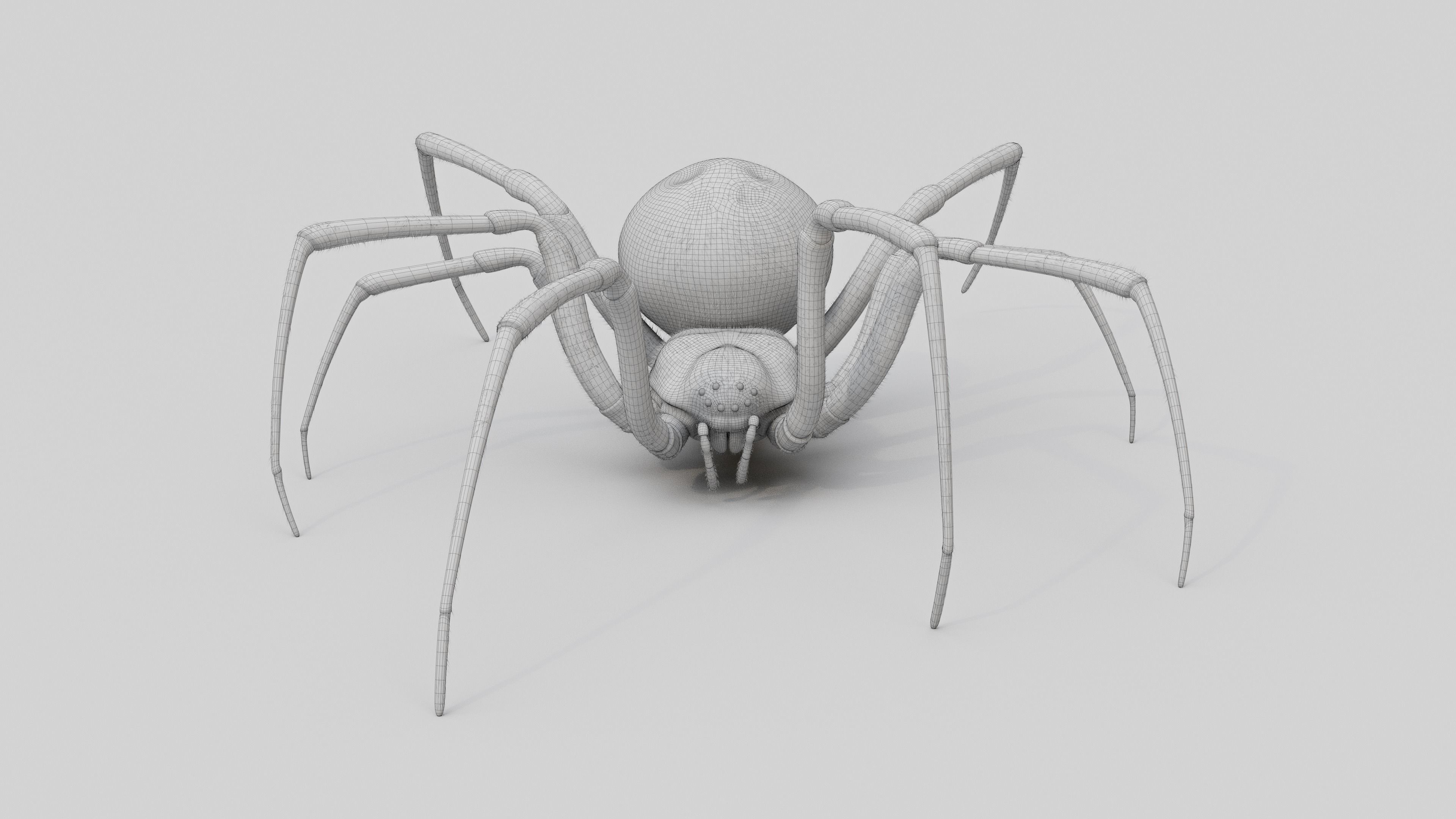 Black widow spider v2 update 3D model_12