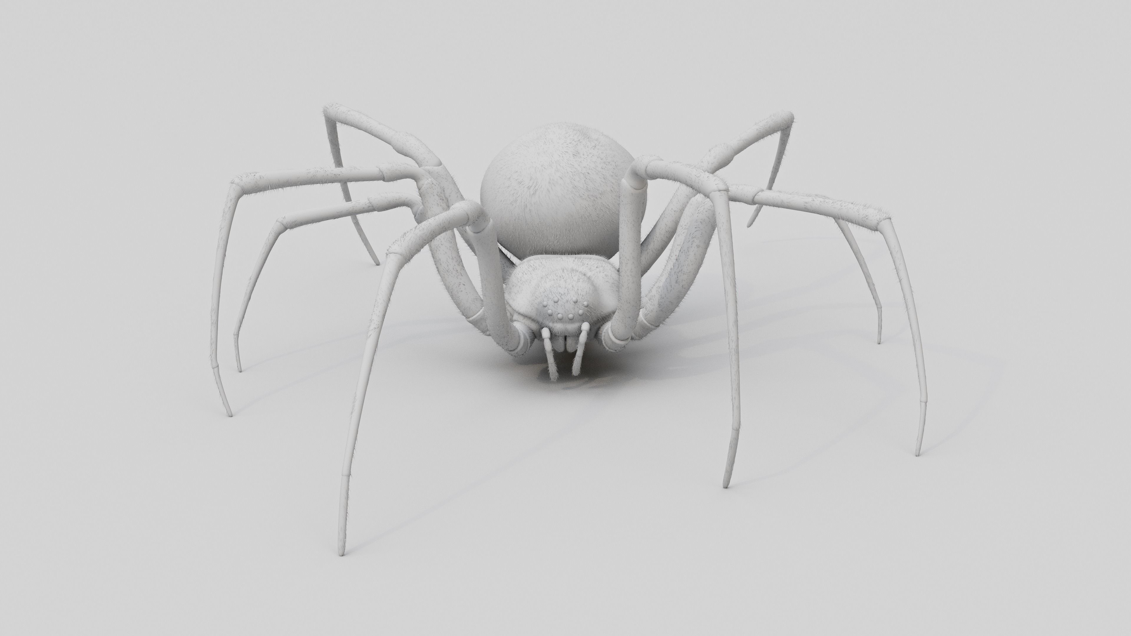 Black widow spider v2 update 3D model_8