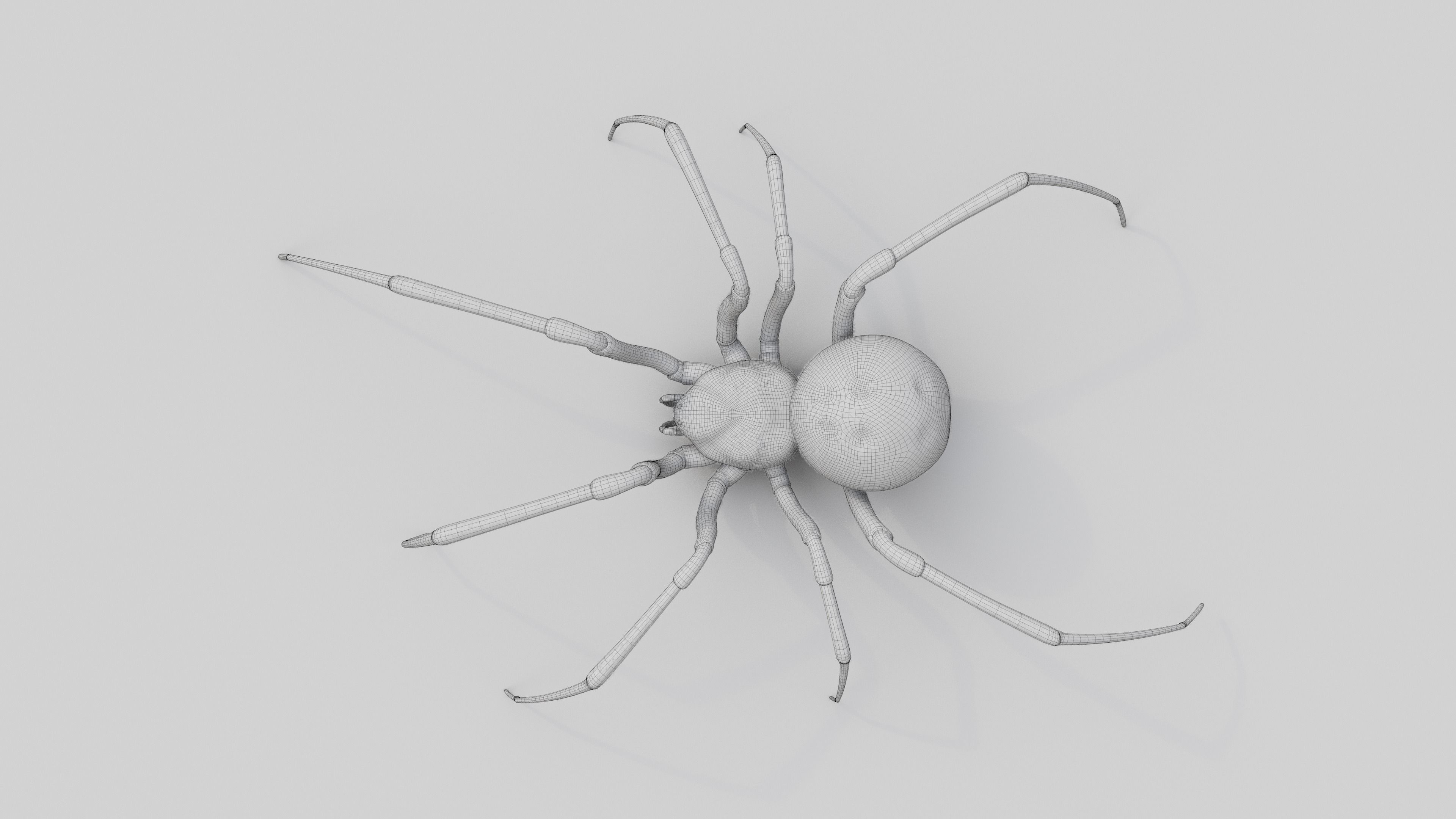 Black widow spider v2 update 3D model_11