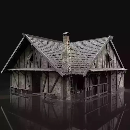ENTERABLE AAA NEXT GEN MEDIEVAL CITY TOWN HOUSE COTTAGE Low-poly 3D model