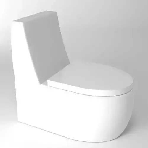 Toilet with seat
