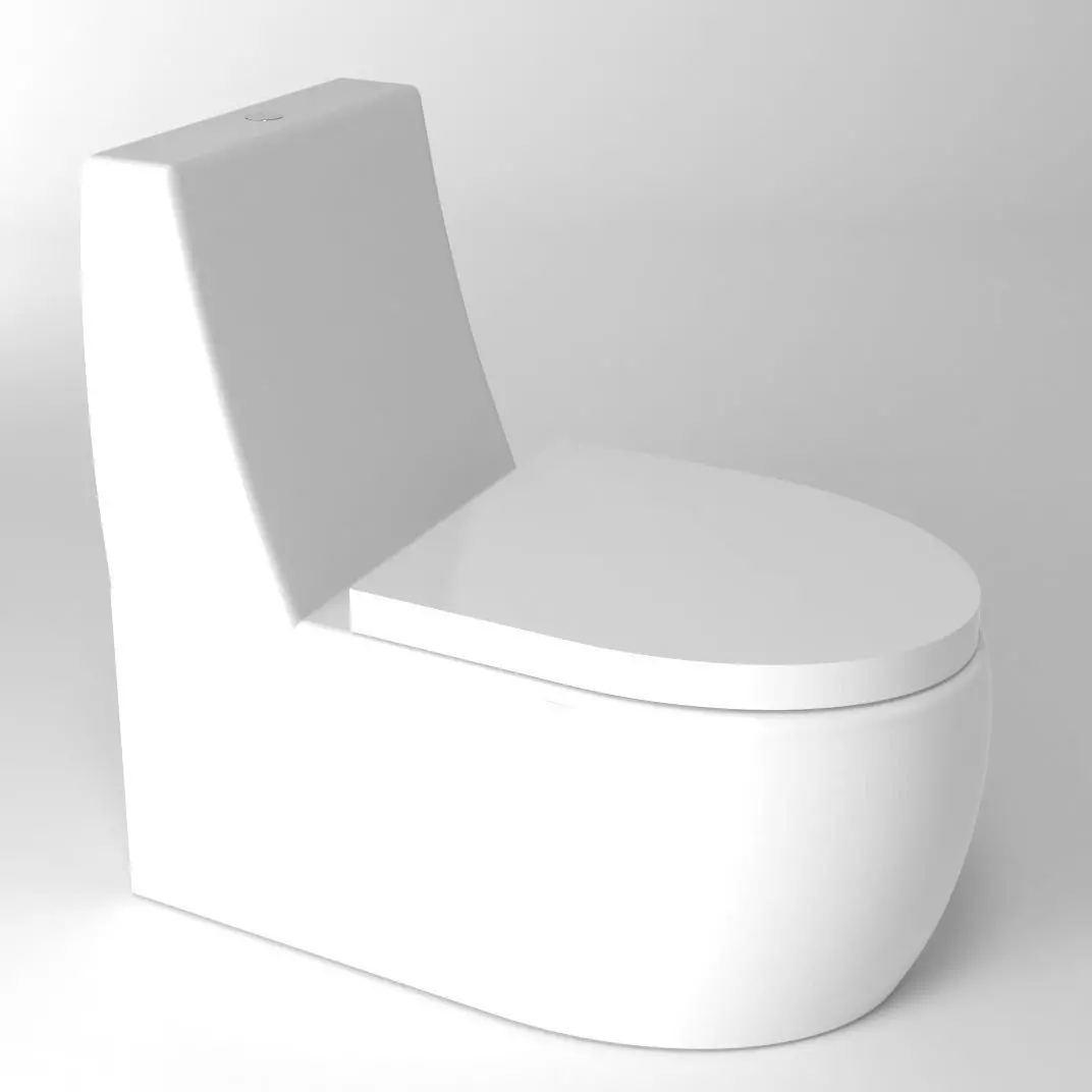 Toilet with seat 3D model_0