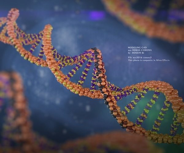DNA circular 3D model