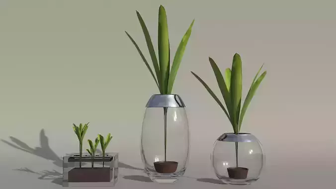 3 Glass Flower Pots