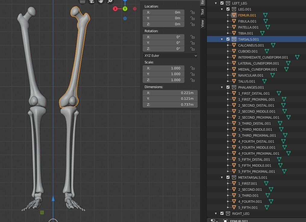 Human Leg Bones 3D model_24