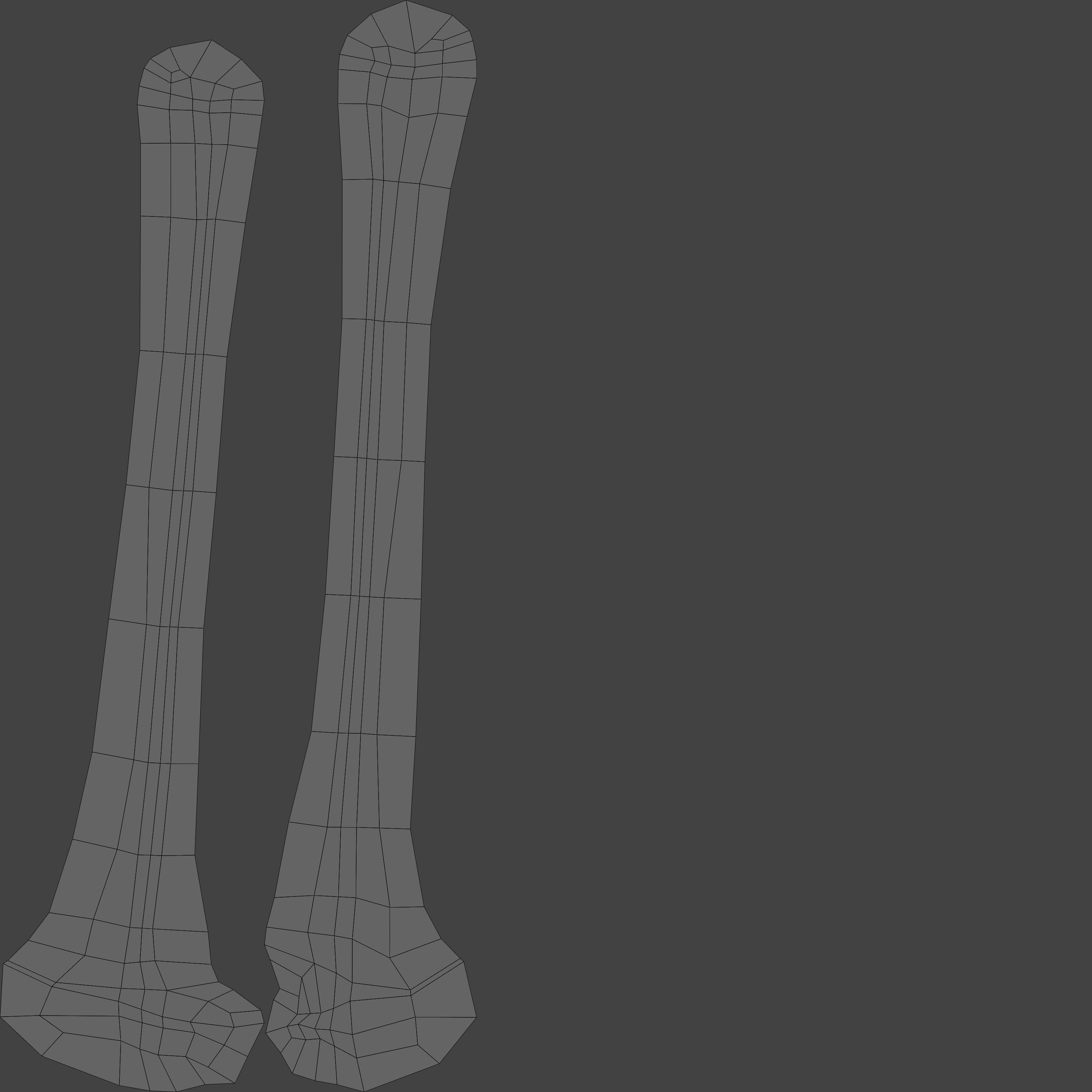Human Leg Bones 3D model_27