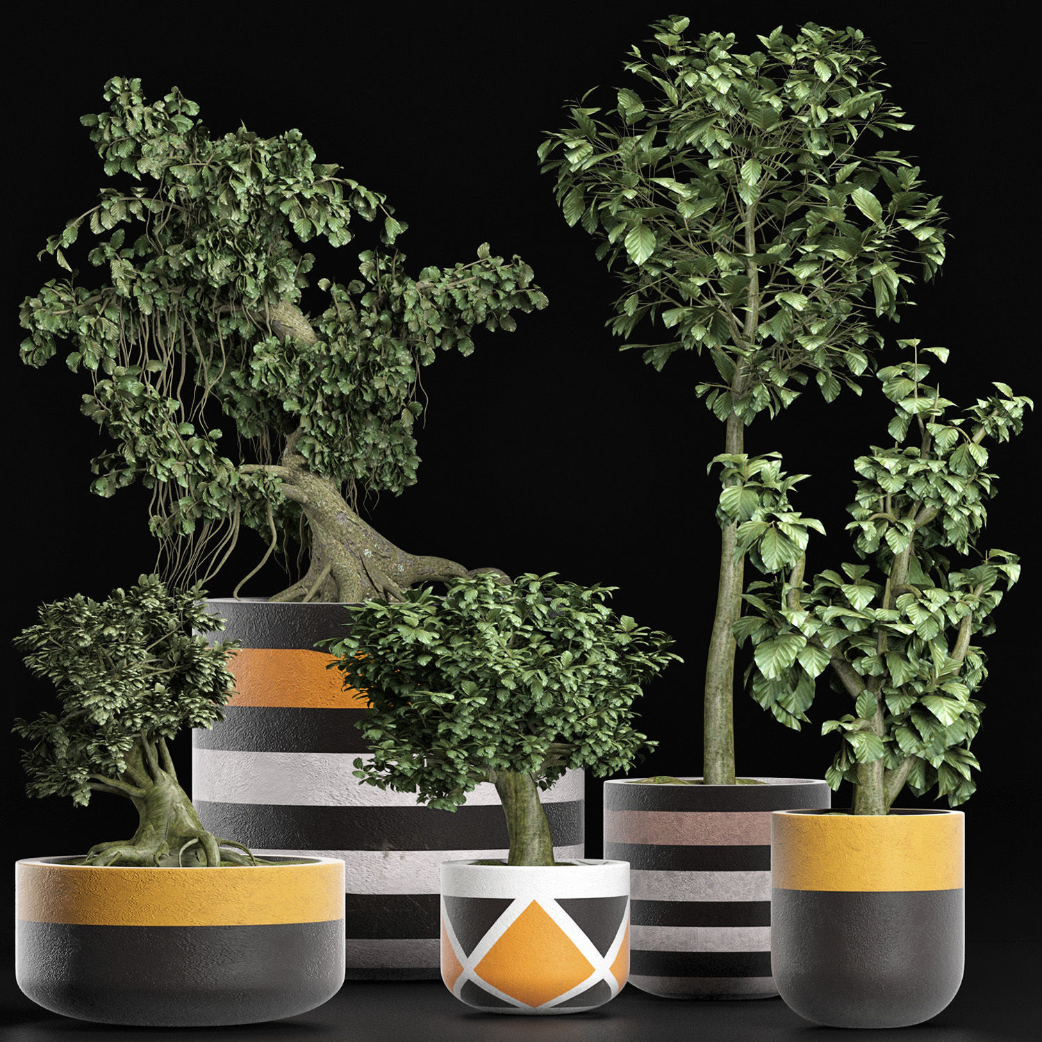 Plants Collection 194 Sageretia Theezans Mini Bonsai 3D model_1