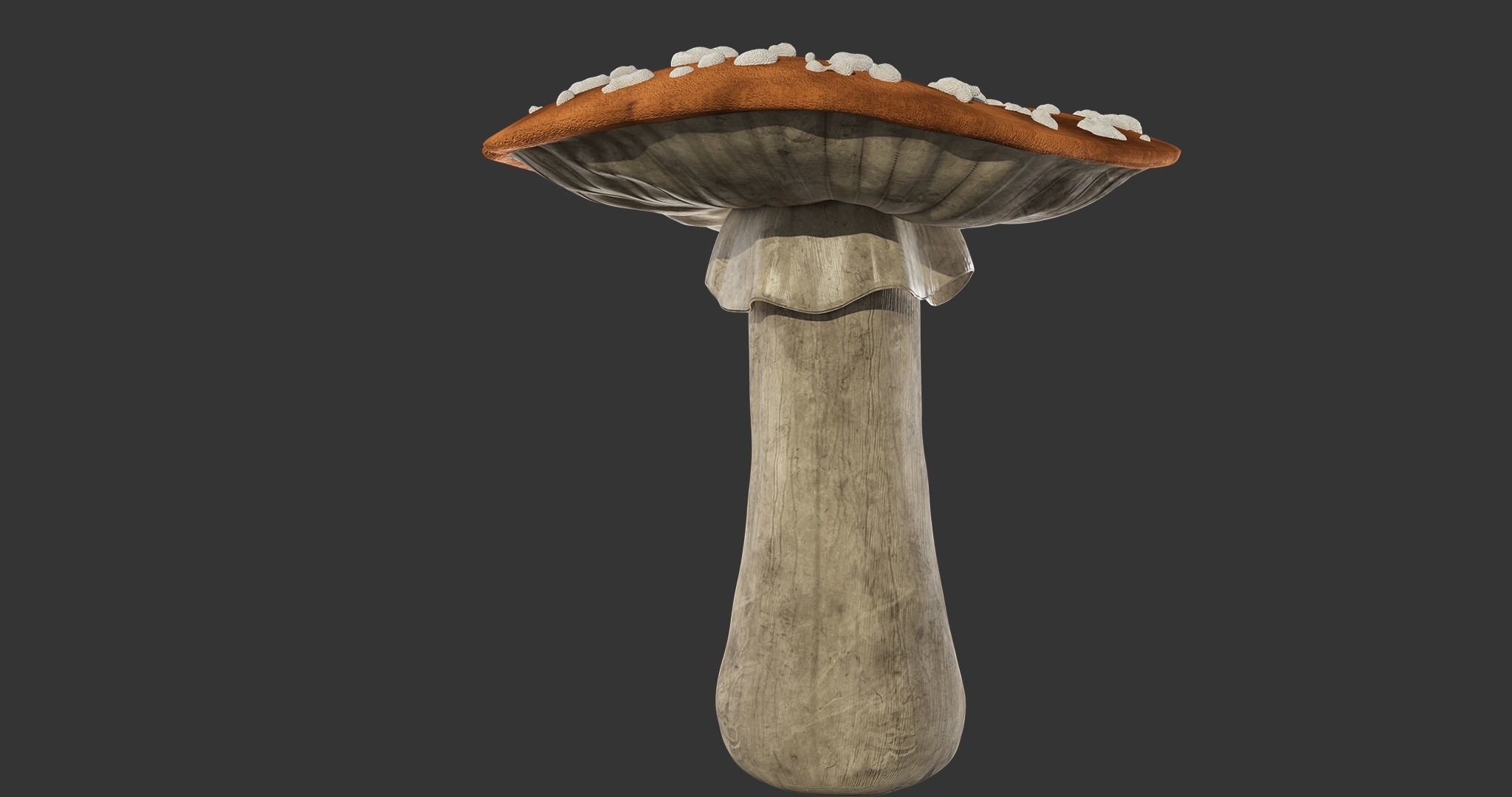 Mushroom 3D model_2