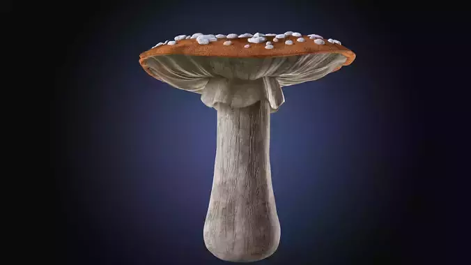 Mushroom