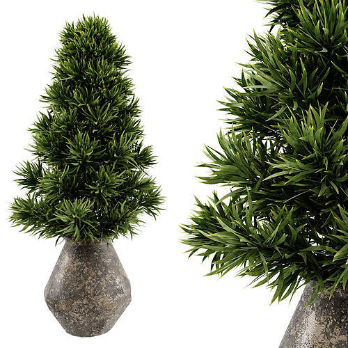 indoor plant 3D model