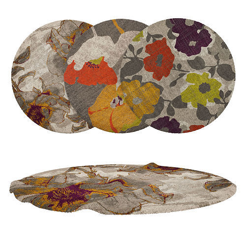Round Rug Set 295 3D model