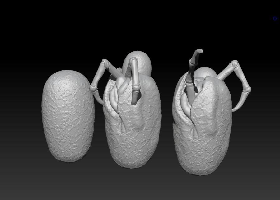 Krykna Spider Articulation figure with eggs 3D print model_2