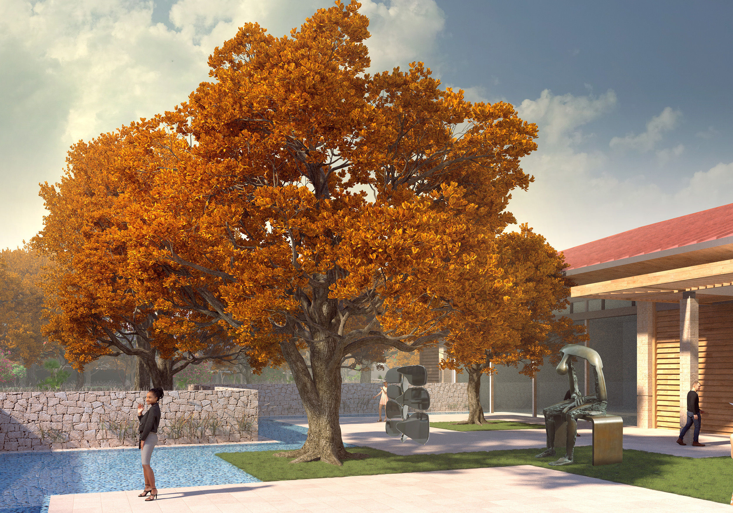 Coast live oak quercus agrifolia mature a 3D model_1