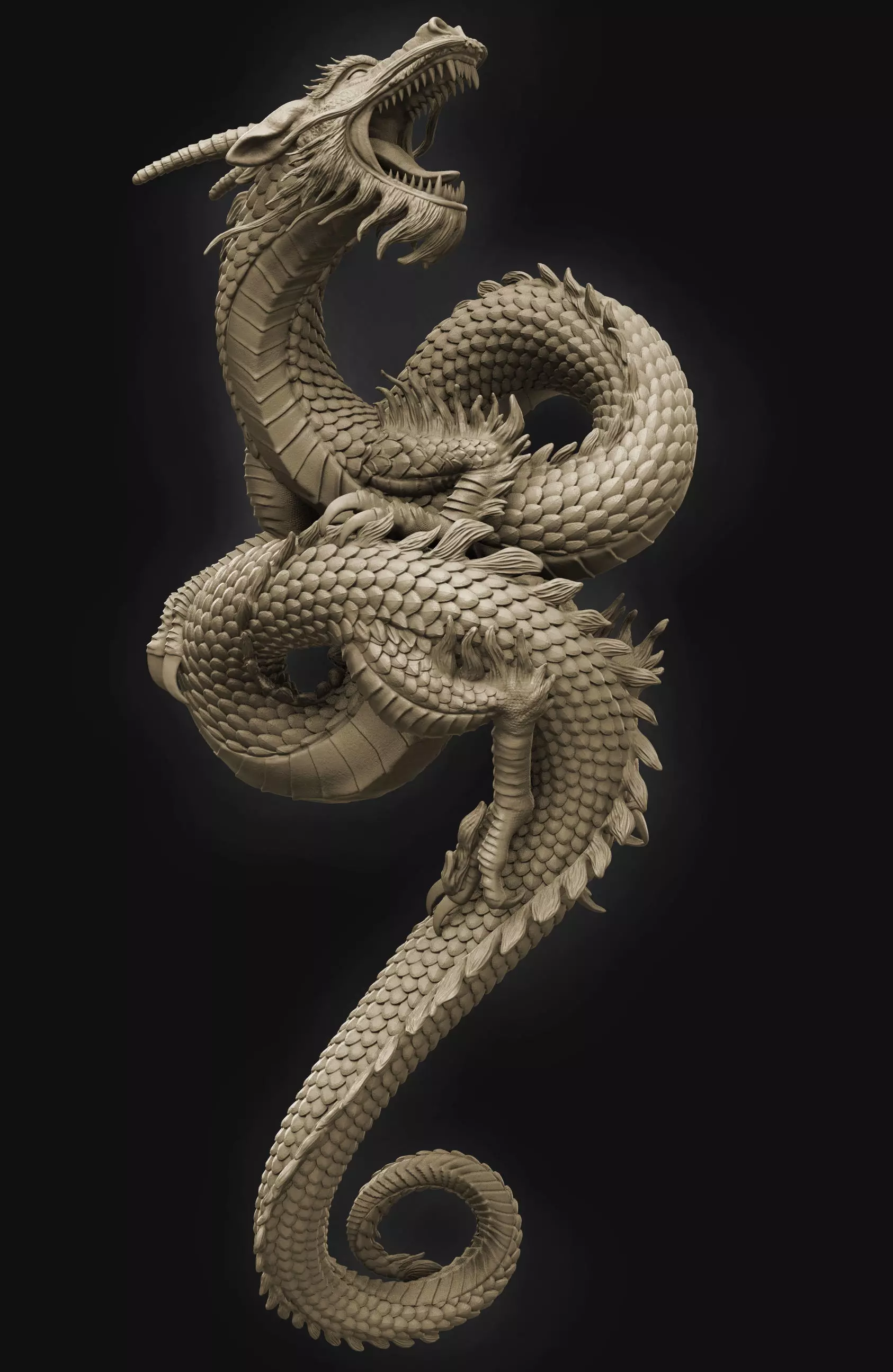Chinese Dragon 3D print 3D model 3D print model_0