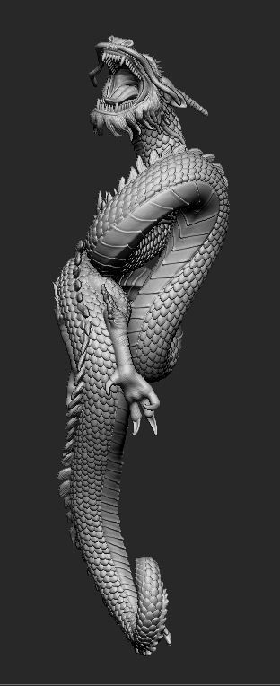 Chinese Dragon 3D print 3D model 3D print model_2