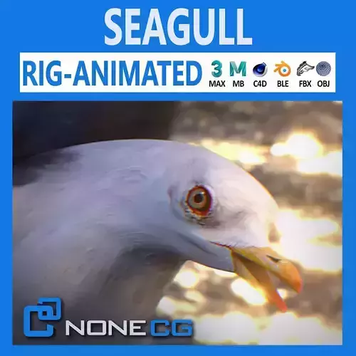 Animated Seagull Low-poly 3D model