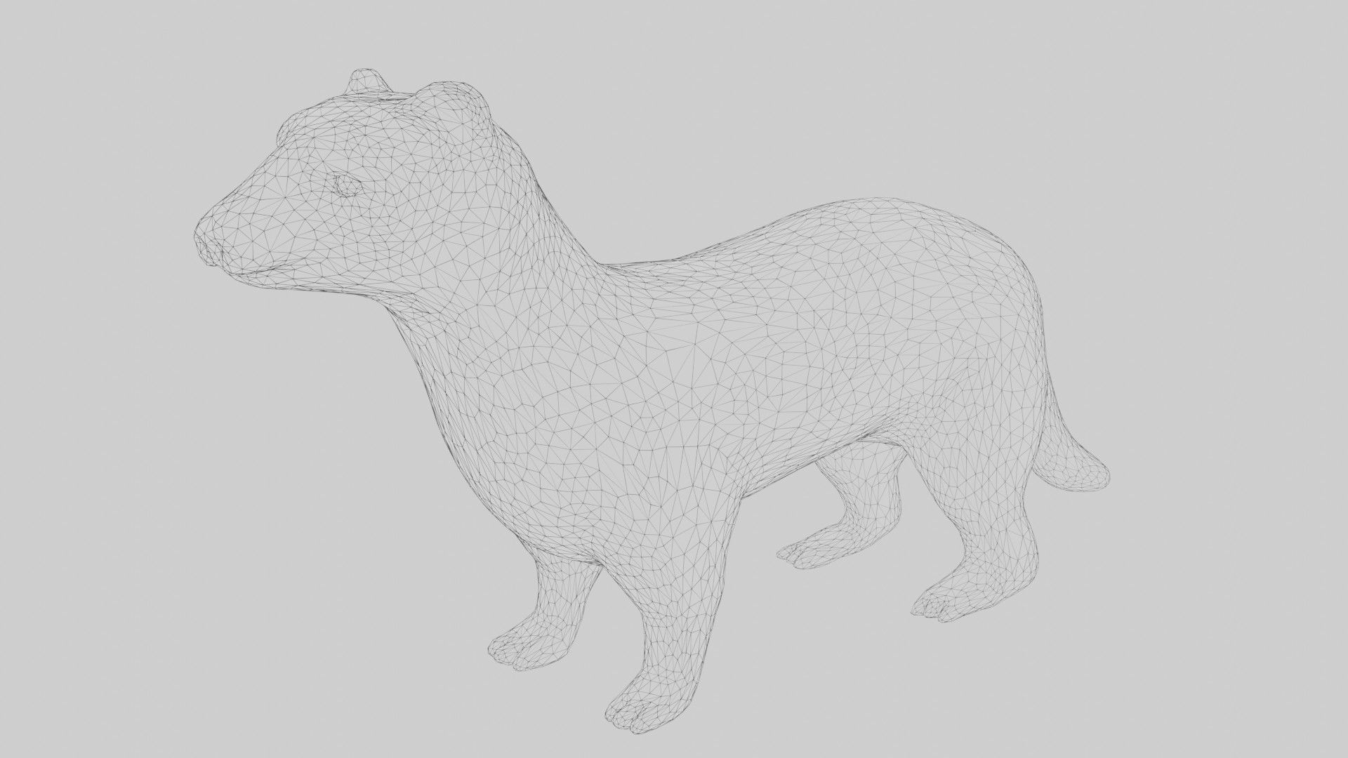 Ferret Mongoose Low-poly 3D model_6