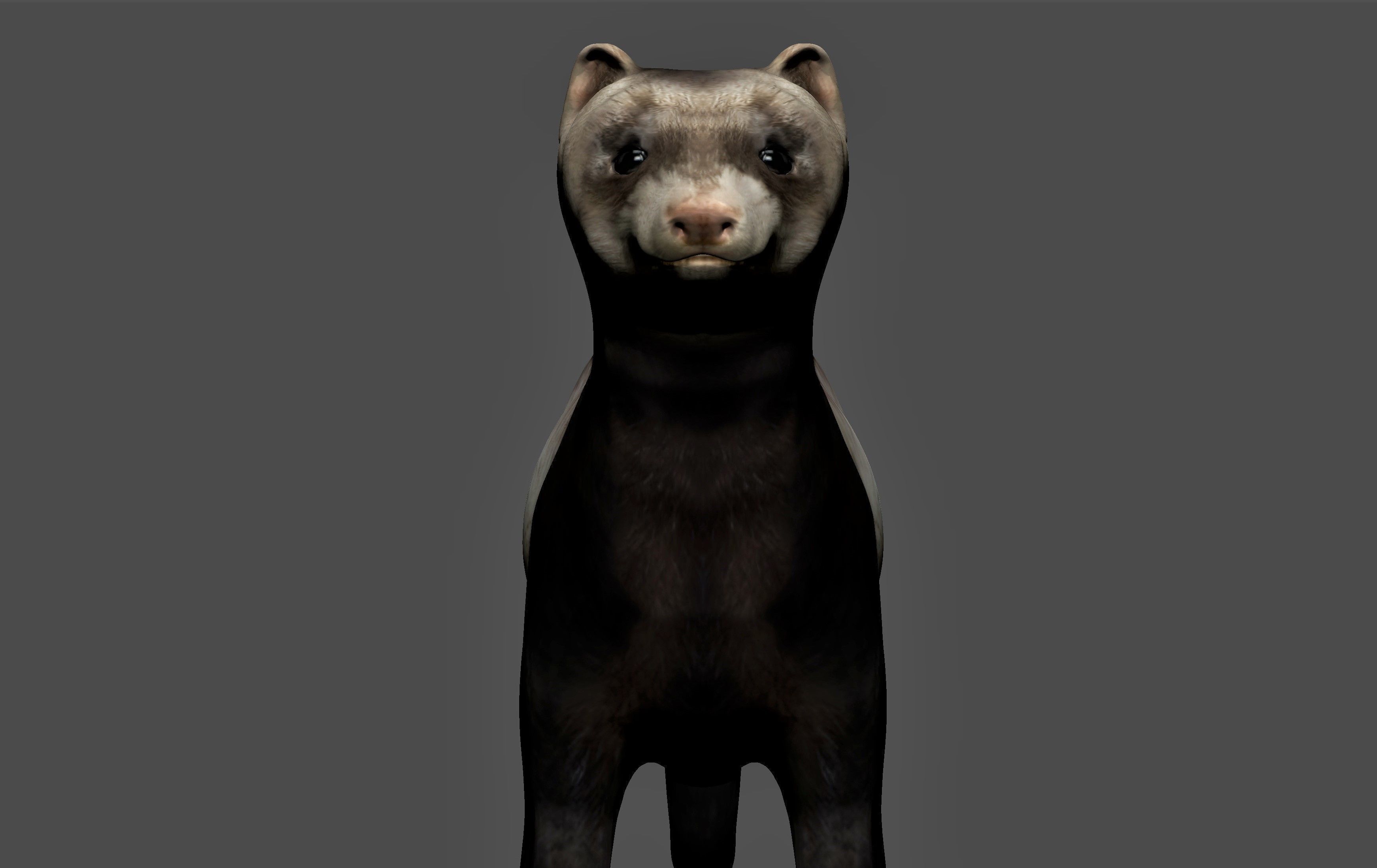 Ferret Mongoose Low-poly 3D model_1
