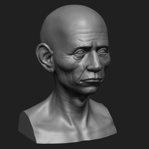 Old wrinkled man bust 3D print model