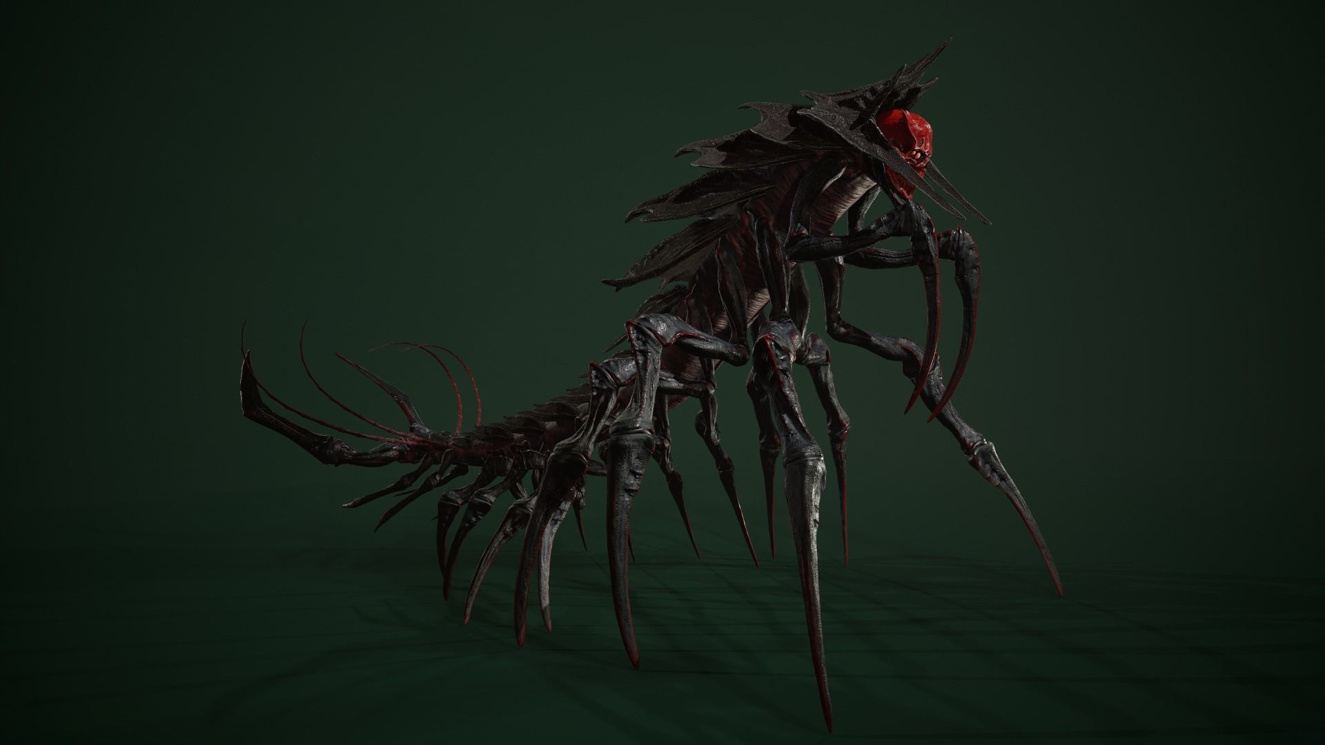 Centipede scull Low-poly 3D model_3